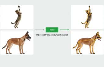 apple’s-computer-vision-tool-for-developers-now-tracks-dogs-&-cats