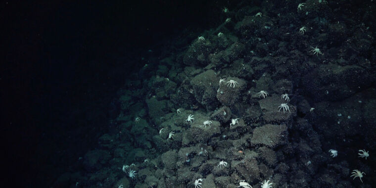 otherworldly-mini-yellowstone-found-in-the-deep-sea