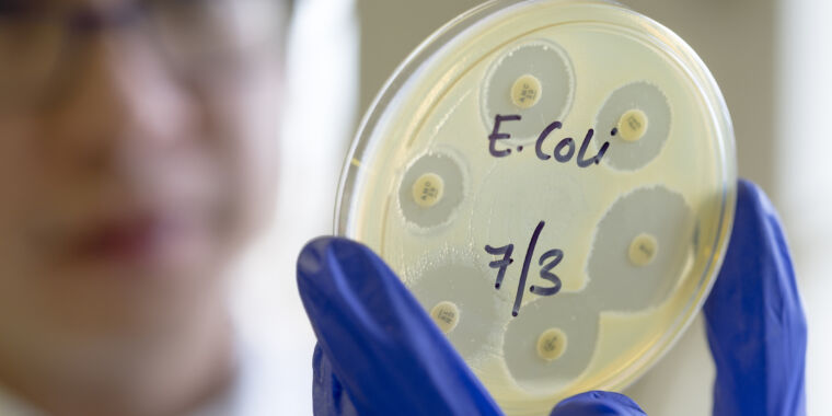 new-e.-coli-strain-will-accelerate-evolution-of-the-genes-of-your-choice