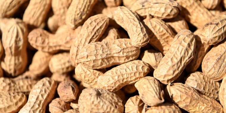 new-fda-approved-drug-makes-severe-food-allergies-less-life-threatening