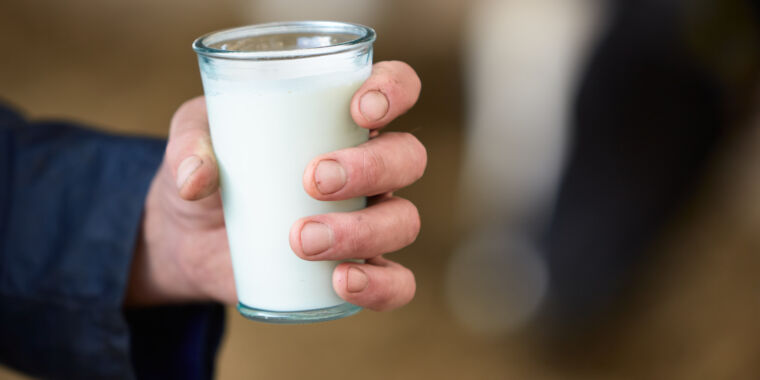 raw-milk-fans-plan-to-drink-up-as-experts-warn-of-high-levels-of-h5n1-virus