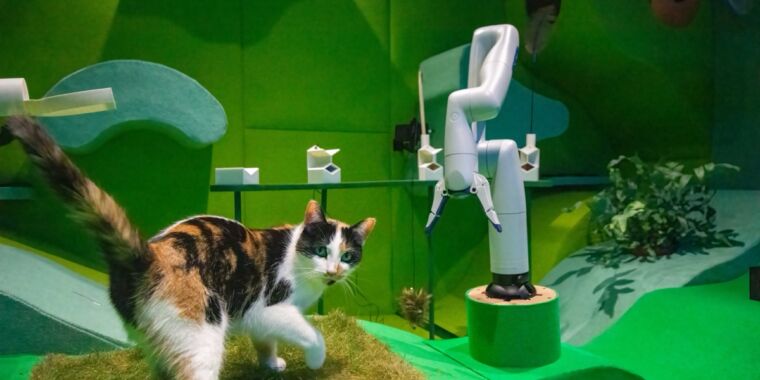 cats-playing-with-robots-proves-a-winning-combo-in-novel-art-installation