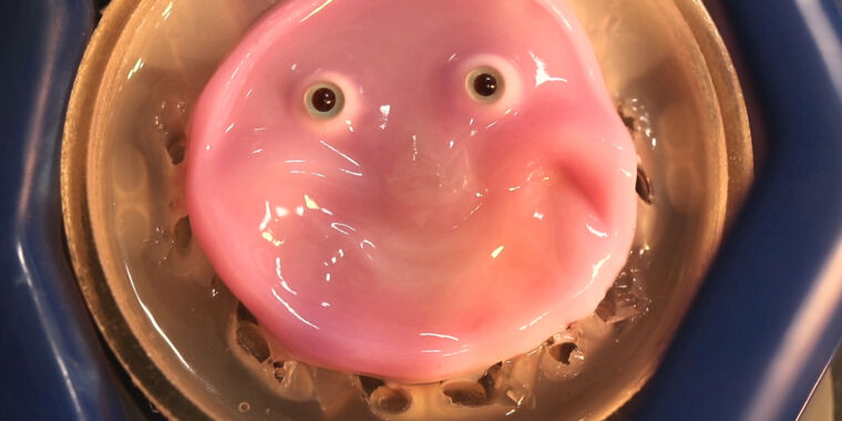 researchers-craft-smiling-robot-face-from-living-human-skin-cells