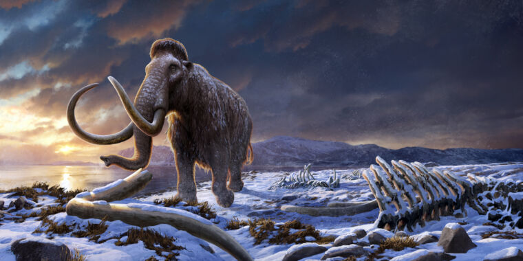 dna-from-mammoth-remains-reveals-the-history-of-the-last-surviving-population