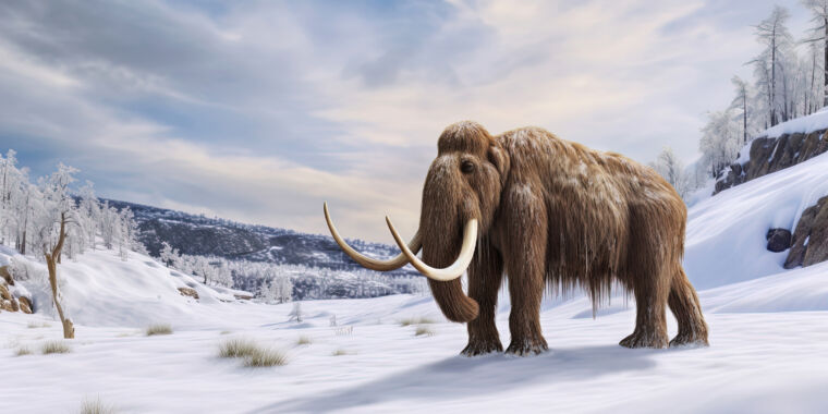 frozen-mammoth-skin-retained-its-chromosome-structure