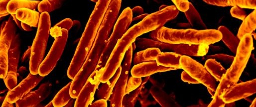 woman-who-went-on-the-lam-with-untreated-tb-is-now-cured