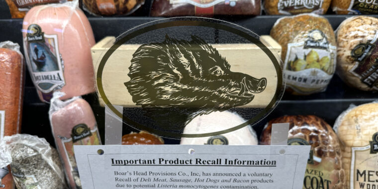 blood-puddles,-mold,-tainted-meat,-bugs:-boar’s-head-inspections-are-horrifying