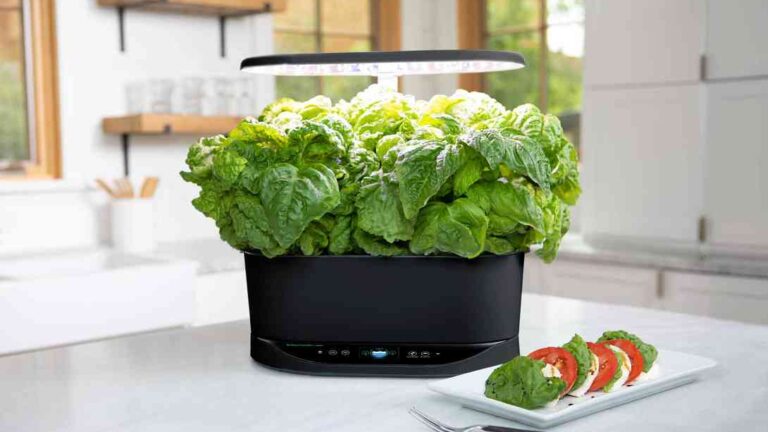 smart-gardening-firm’s-shutdown-a-reminder-of-internet-of-things’-fickle-nature