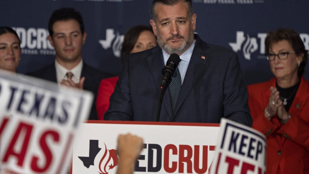 ted-cruz-wants-to-overhaul-$42b-broadband-program,-nix-low-cost-requirement