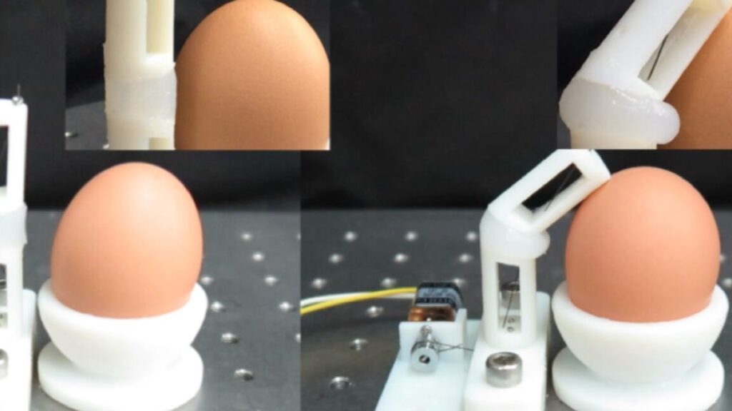 this-mantis-shrimp-inspired-robotic-arm-can-crack-an-egg