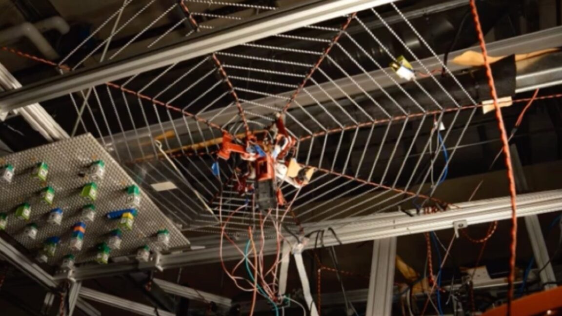 spiderbot-experiments-hint-at-“echolocation”-to-locate-prey