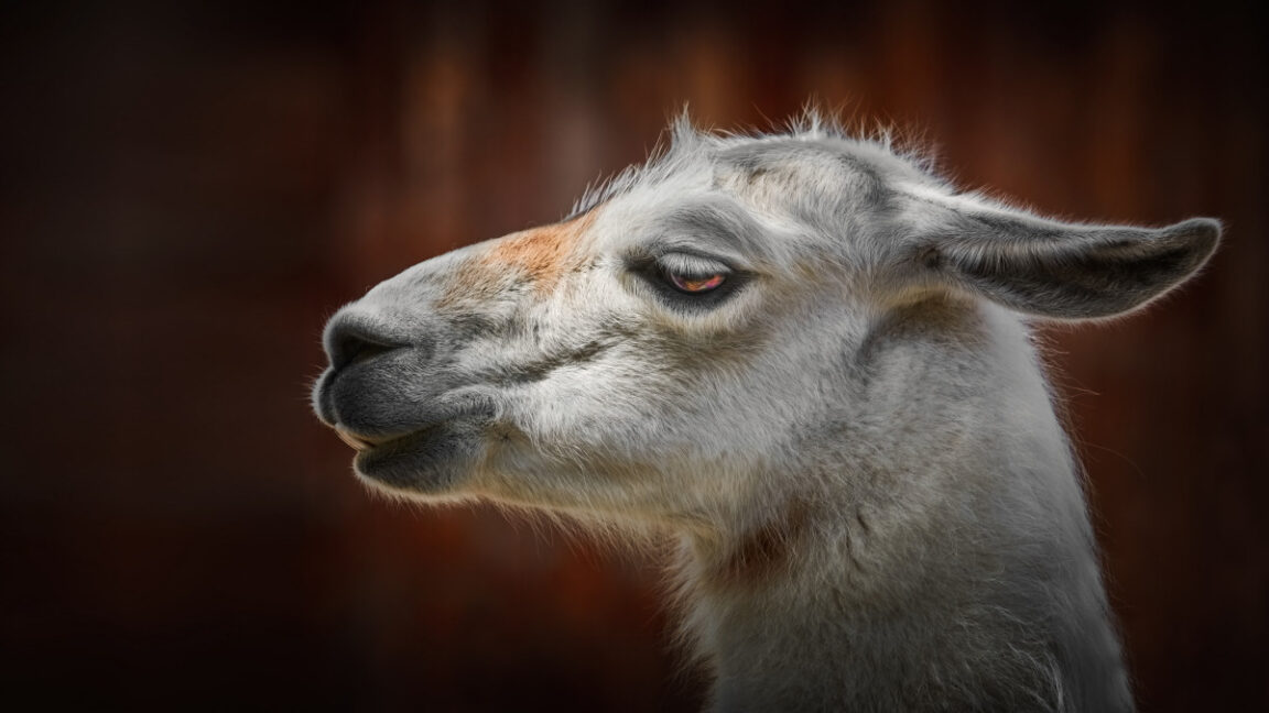 meta’s-surprise-llama-4-drop-exposes-the-gap-between-ai-ambition-and-reality