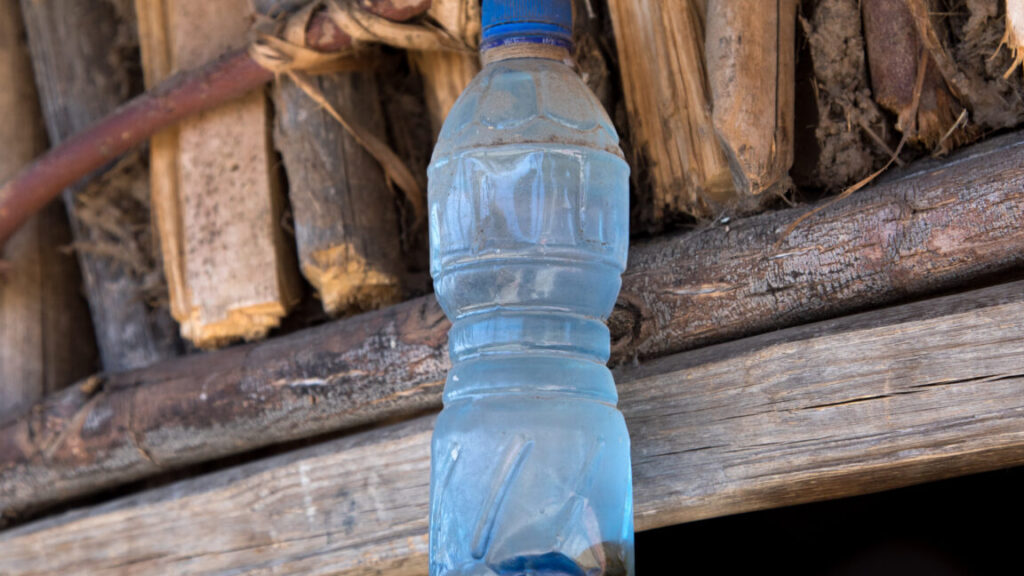 holy-water-brimming-with-cholera-compels-illness-cluster-in-europe