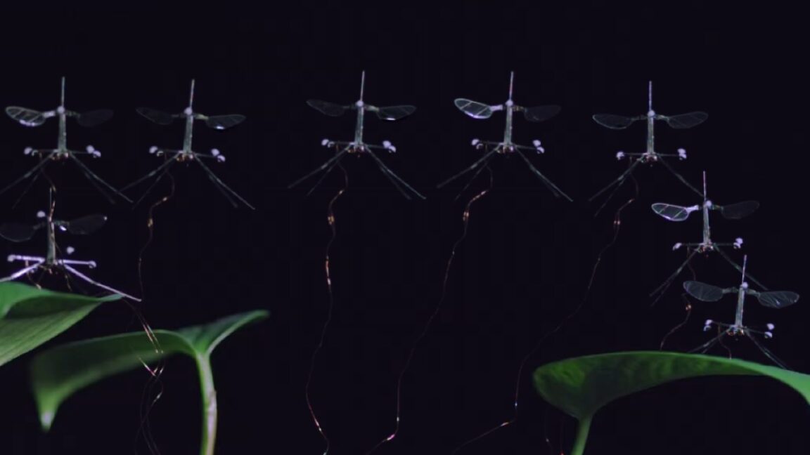 robobee-sticks-the-landing