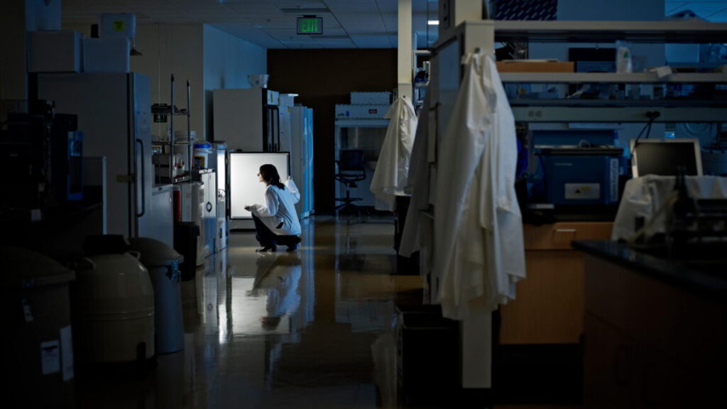 science-phds-face-a-challenging-and-uncertain-future