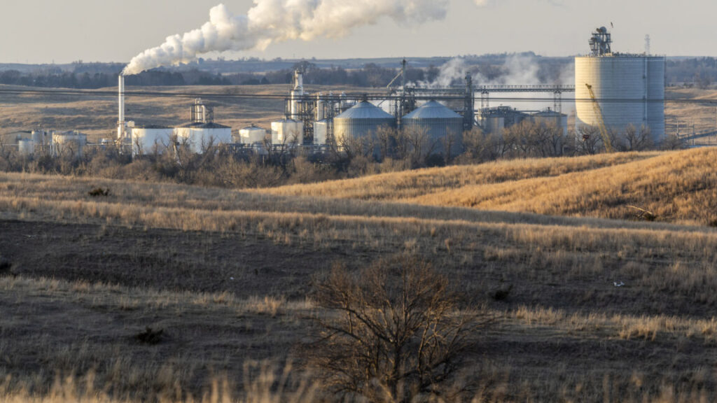 biofuels-policy-has-been-a-failure-for-the-climate,-new-report-claims