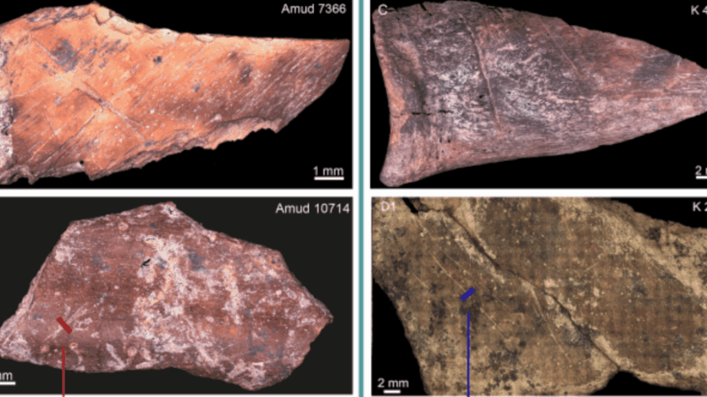 local-cuisine-was-on-the-menu-at-cafe-neanderthal