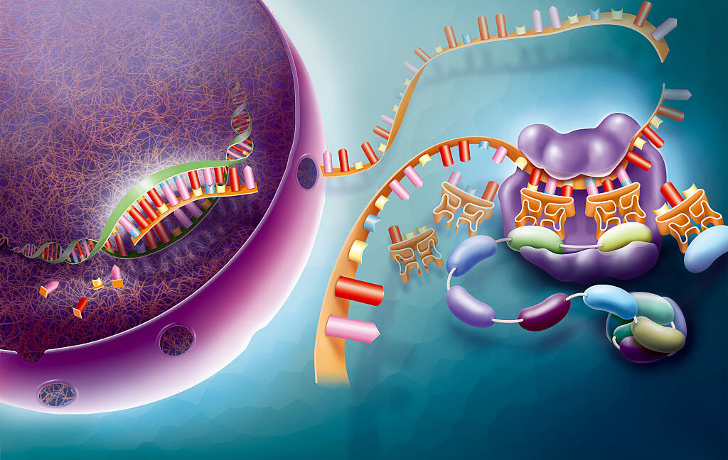 some-ai-tools-don’t-understand-biology-yet