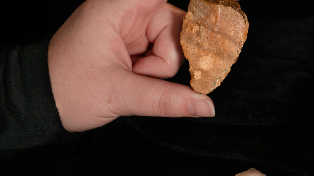 stone-tools-may-hint-at-ancestors-of-homo-floresiensis