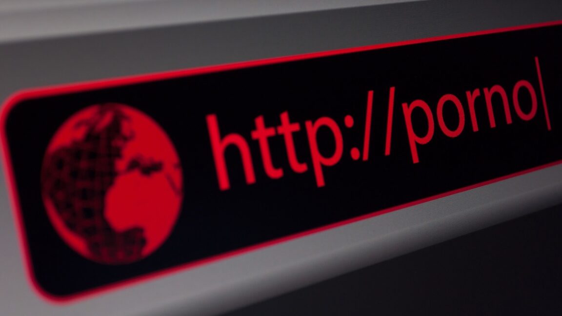 adult-sites-are-stashing-exploit-code-inside-racy.svg-files