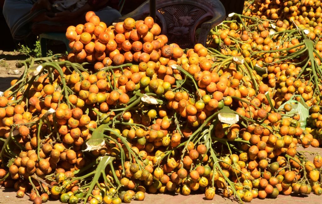 betel-nuts-have-been-giving-people-a-buzz-for-over-4,000-years