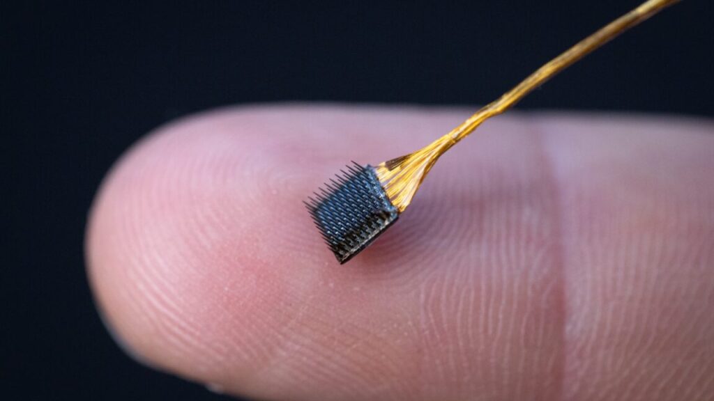 an-inner-speech-decoder-reveals-some-mental-privacy-issues