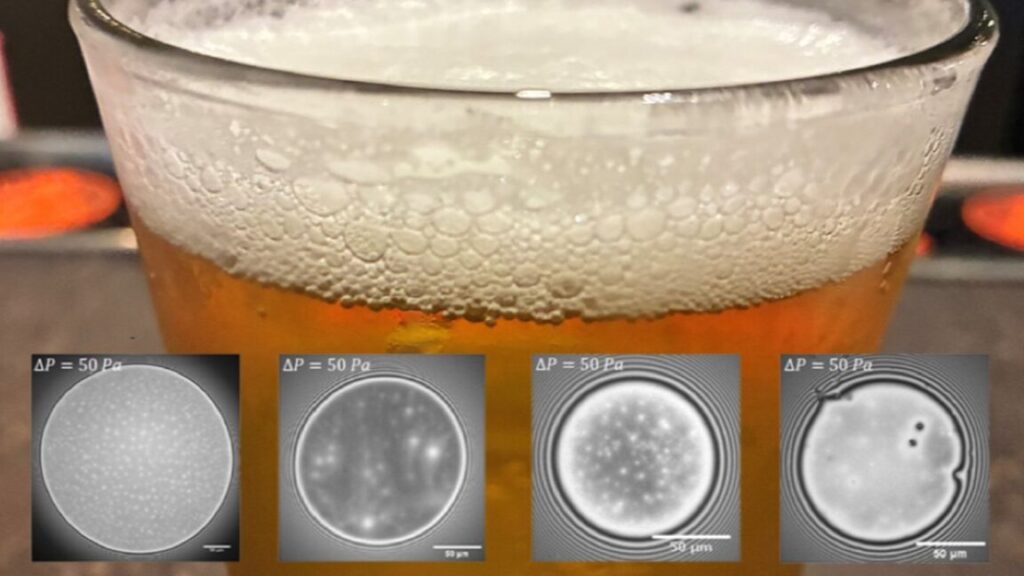scientists-unlock-secret-to-thick,-stable-beer-foams