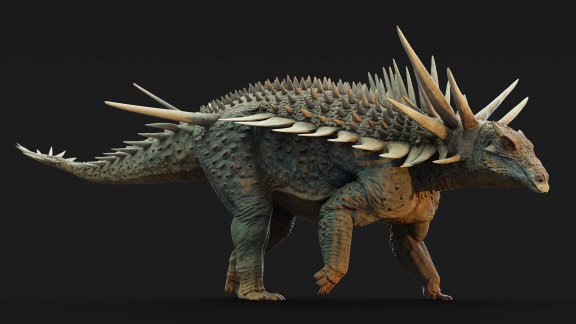 new-dinosaur-species-is-the-punk-rock-version-of-an-ankylosaur