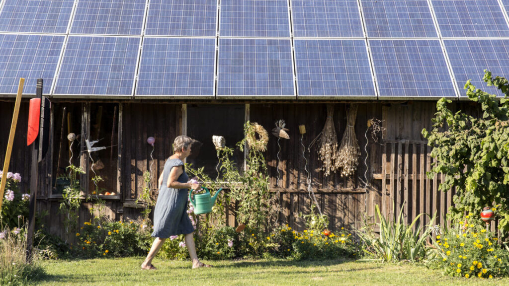 trump’s-epa-sued-for-axing-$7-billion-solar-energy-program