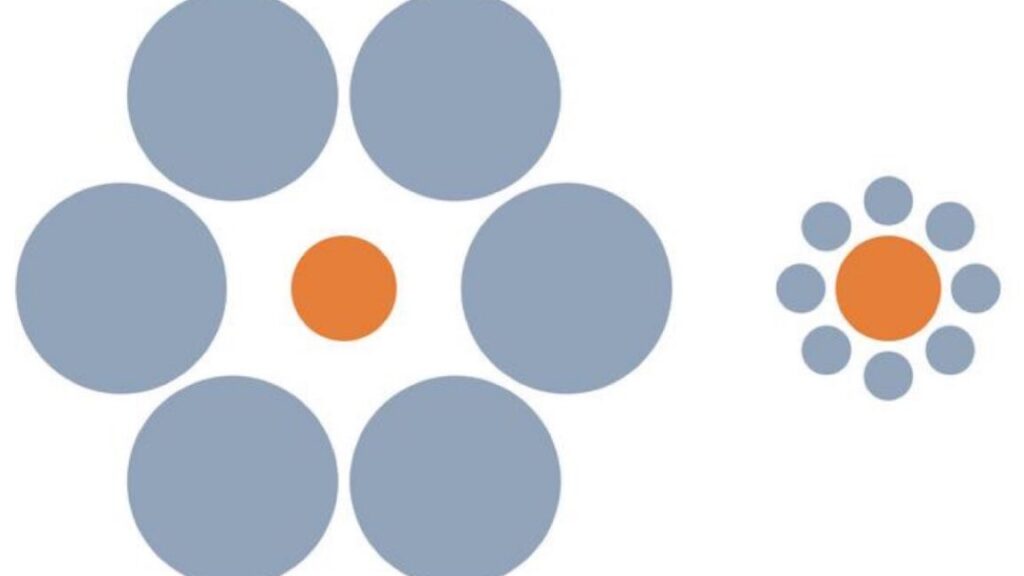 do-animals-fall-for-optical-illusions?-it’s-complicated.