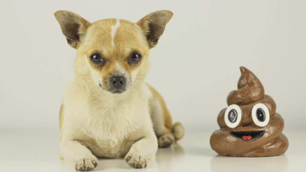 this-may-be-the-most-bonkers-tech-job-listing-i’ve-ever-seen