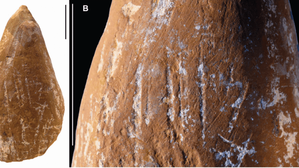wear-marks-suggest-neanderthals-made-ocher-crayons