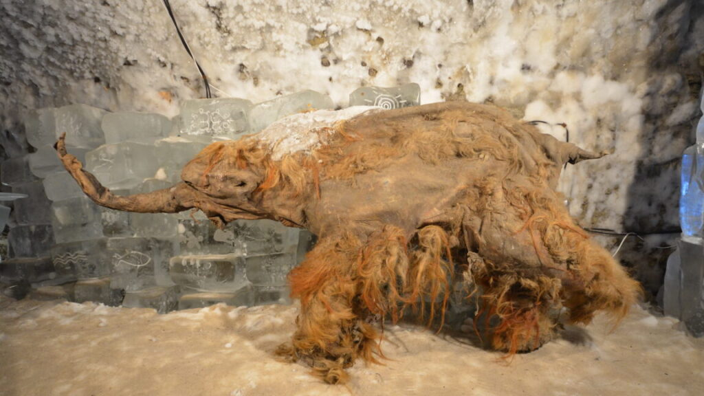 world’s-oldest-rna-extracted-from-ice-age-woolly-mammoth