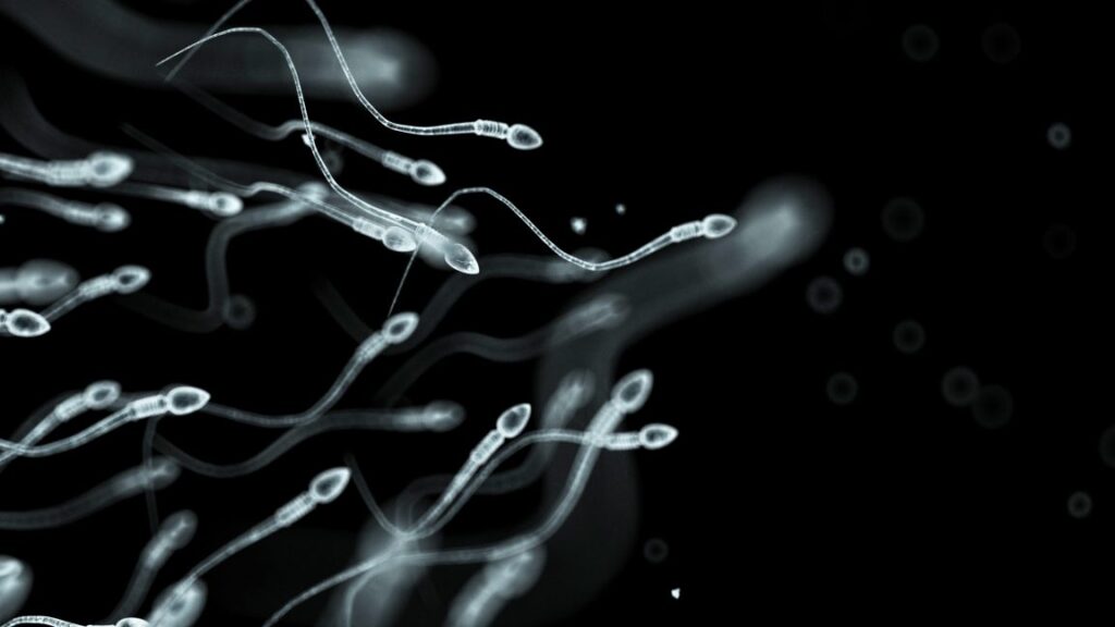 sperm-donor-with-rare-cancer-mutation-fathered-nearly-200-children-in-europe