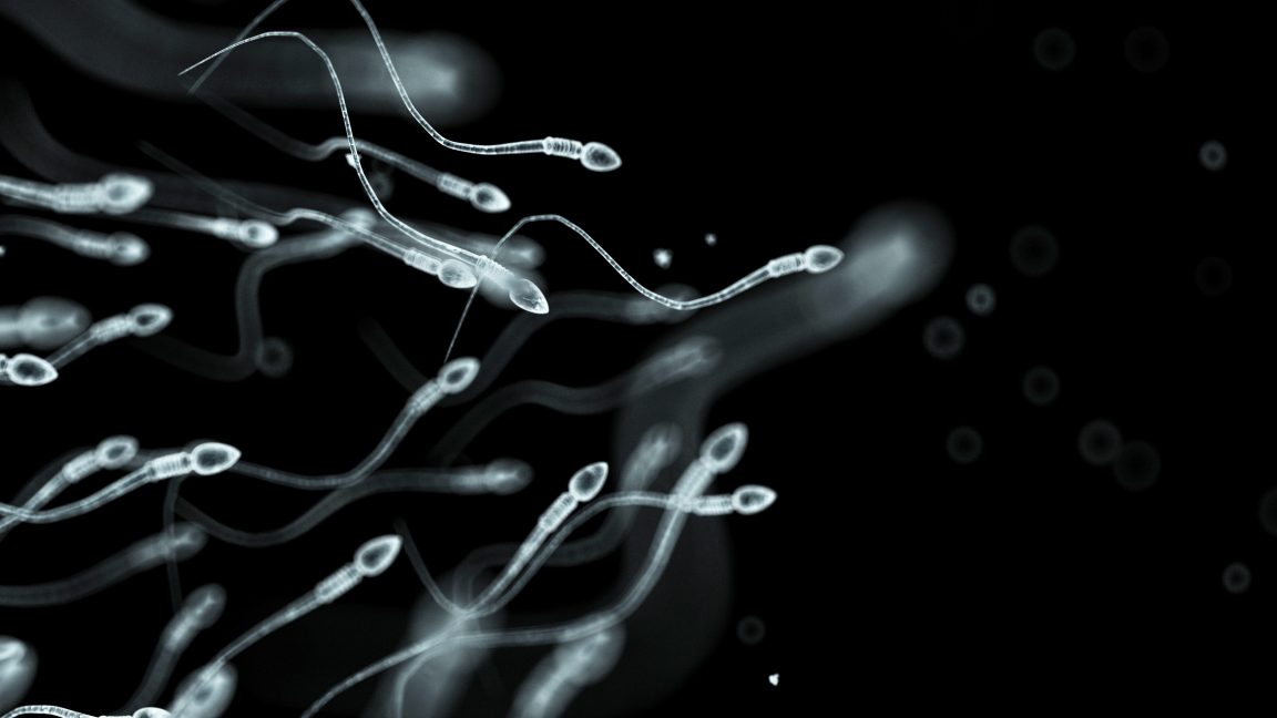 sperm-donor-with-rare-cancer-mutation-fathered-nearly-200-children-in-europe