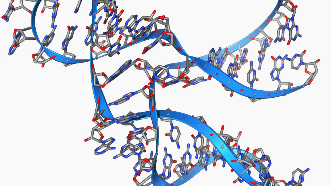 tiny,-45-base-long-rna-can-make-copies-of-itself