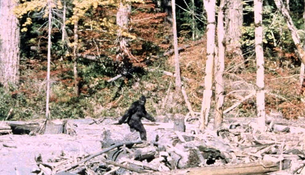 “it-ain’t-no-unicorn”:-these-researchers-have-interviewed-130-bigfoot-hunters