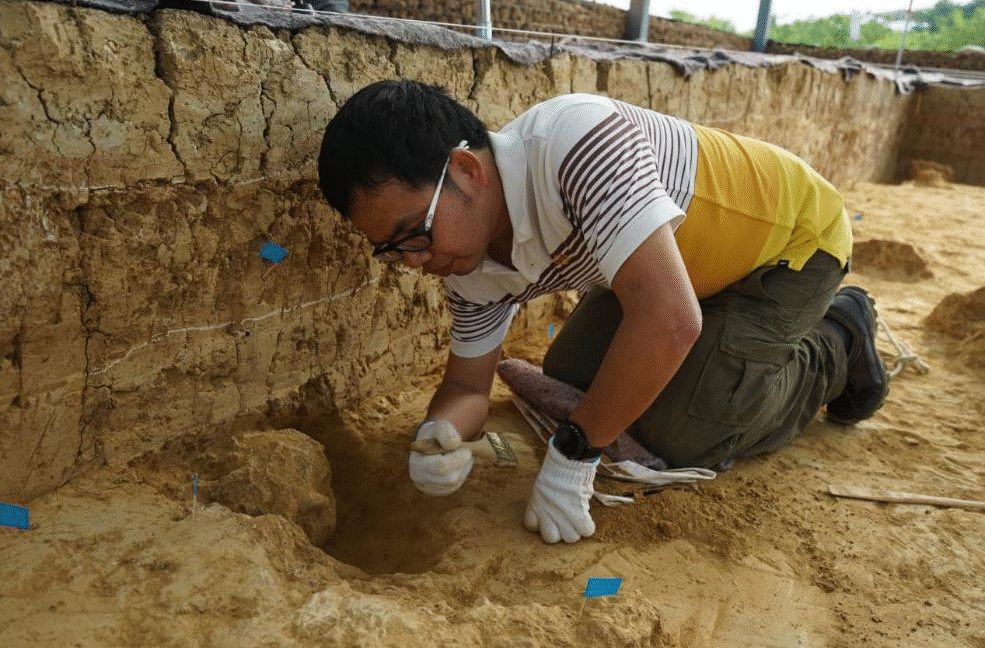 “million-year-old”-fossil-skulls-from-china-are-far-older—and-not-denisovans