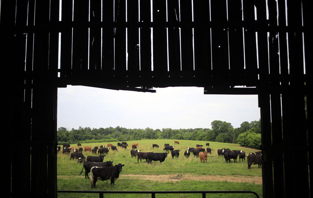 data-center-builders-thought-farmers-would-willingly-sell-land,-learn-otherwise