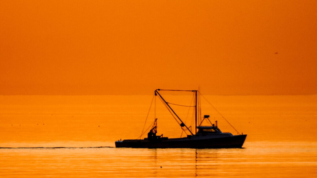 fishing-crews-in-the-atlantic-keep-accidentally-dredging-up-chemical-weapons