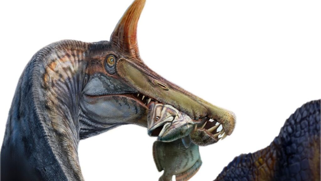 a-unicorn-like-spinosaurus-found-in-the-sahara